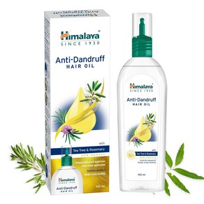 Himalaya Anti-Danduff Hai Oil Pack of 1 100 ML, 2세트, 100ml