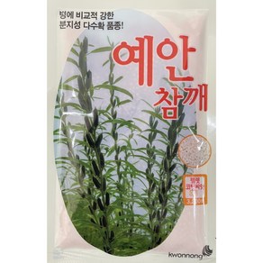 참깨씨앗/ 외대깨 가지깨씨앗, 예안참깨(가지깨), 1개