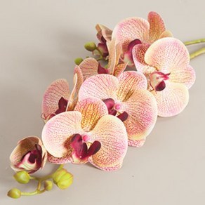 블리스호접란가지 68cm 조화 인테리어, 1개, 퍼플그린