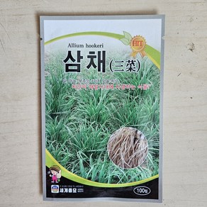 삼채씨앗 100립 삼채 채소 종자 뿌리부추 다년생 Allium hookei seed, 1개