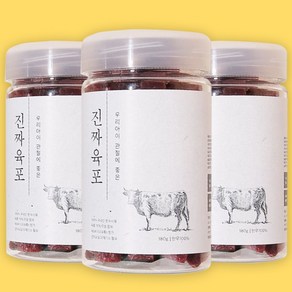 강아지칭찬간식 생고기 70% 진짜육포 트릿, 한우, 180g, 3개