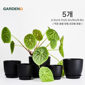 GARDENQ 플라스틱 화분 생장 마력 화분 배수 기능 포함 화분 다육이화분 프라스틱화분(중형)+ 받침 11-12-13-15-17cm 화분 5p 관엽 관엽식물 다육이, 5개, 블랙