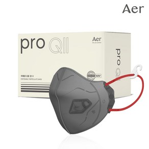 아에르 Po Q2 특급 방진마스크 AQ301S (프로 큐2) / 산업용 공사현장 분진마스크 작업용 석면용, 그레이, 1개, 10개입