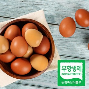 무항생제 구운계란 1+1 맥반석계란60구 HACCP 청라상회계란