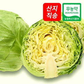 (자연마을) 국산 무농약 양배추 1kg 3kg