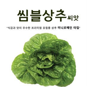 씸블 상추씨앗 (100립) 프리미엄 유럽상추, 1개