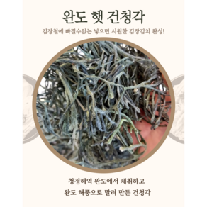 완도산 청각 건청각 마른청각 1봉 250g+2 김장김치 청각김치 청각무침 김장재료 다양한활용