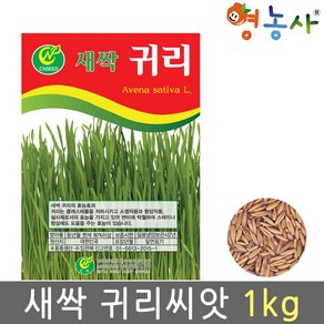 새싹 귀리 씨앗 1kg 영농사, 1개