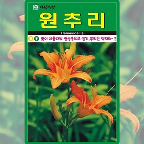 아람종묘 원추리 씨앗 30립 원추리 꽃씨 약초 종자