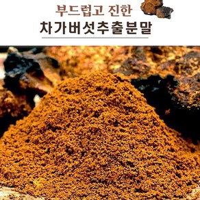 황제 차가버섯 차가버섯분말 400g 유기농차가버섯, 1개