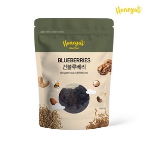 허니어스 건블루베리/ 새콤달콤 건강간식/ 베이킹.샐러드.요거트 토핑용, 1개, 250g