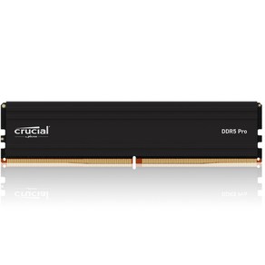 마이크론 Crucial DDR5-5600 CL46 PRO 아스크텍 (16GB)