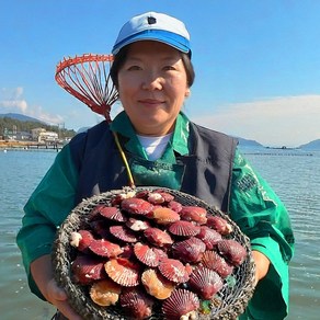 남해 홍가리비 통영 거제 고성 생가리비 큰씨알 대자 활가리비 청정, 1세트, 3kg