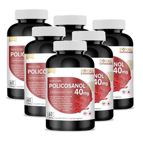 로얄캐네디언 쿠바 폴리코사놀 40mg 캡슐 Royal Canadian Policosanol, 60정, 6개