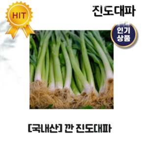 국내산 산지직송 진도대파 5kg 10kg 15kg 20kg 25kg 손질 깐대파 진도 깐 대파 제철 음식 농산물 맵지않은 파 손질대파 대파1단 쪽파 흙대파 국내산대파