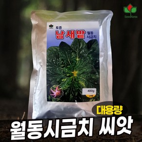 씨드코리아 뿌리붉은 남새밭 시금치씨앗 400g 대용량 월동시금치씨앗 겨울 섬초