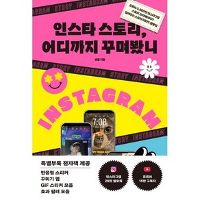 인스타 스토리 어디까지 꾸며봤니 : 조회수 5 000만 인스타그램 스토리 크리에이터가 알려주는, 황금부엉이