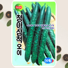 가시오이씨앗 청아삼척오이 씨앗 종자 50립 진흥종묘, 1개