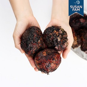 [숨비해물] 거제도 해녀 자연산 멍게 통영 제철 돌멍게 1kg, 1개, 상세 설명 참조