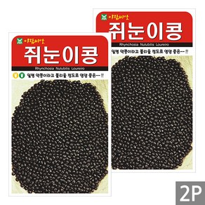 세인화분 쥐눈이콩 30g - 국산 약콩 콩 씨 씨앗 서목태, 2개