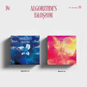 [케이크뮤직] QWER 앨범 (큐더블유이알) - 2nd Mini ALBUM (Algorithms Blossom)