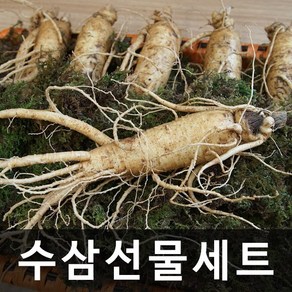 청명네이처 금산인삼 수삼선물세트 (특대) 750g (6~7뿌리)