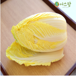 [품질보장]알배추 쌈배추 알배기배추 (10~14통)수입, 1박스, 10kg