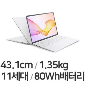 LG 2021 그램 17