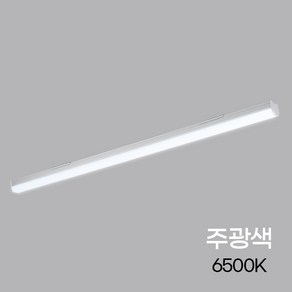 비츠온 LED 주차장등 형광등 일자등 형광등기구 60w, 비츠온 주차장등 1200mm 60W