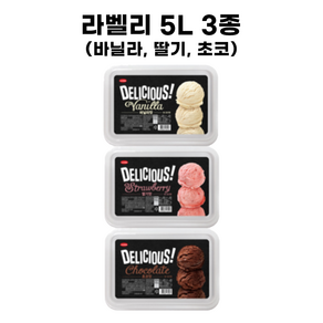 라벨리 5L 3종 업소용 대용량 프리미엄 아이스크림 바닐라 초코 딸기, 1개, 5000ml