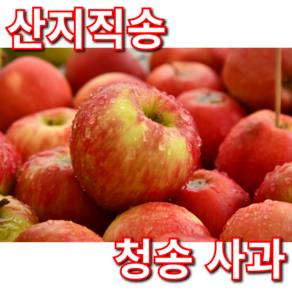 [산지직송] 진짜진짜 달다 고당도 청송 사과 부사, 1박스, 10klg 혼합