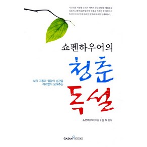 쇼펜하우어의청춘독설:삶의 고통과 절망의 순간을 여과없이 보여주는