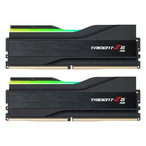 G.SKILL DDR5-6000 CL36 TRIDENT Z5 RGB J 블랙 패키지 (32GB(16Gx2)), 2개