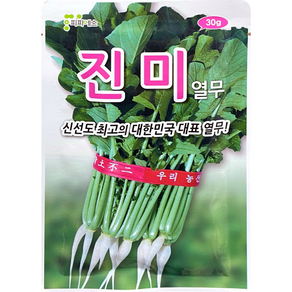 진미 열무씨앗 30g, 1개