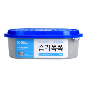 소다스쿨 반복사용 습기제거제 습기쏙쏙 제습제, 300g, 2개