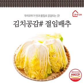 김치공감# (당일생산)(당일발송) haccp인증 명품 절임배추 1kg, 1개, 1개