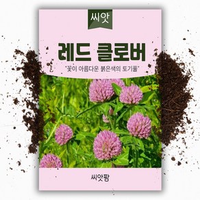 레드 클로버씨앗 20g 토끼풀 씨, 1개