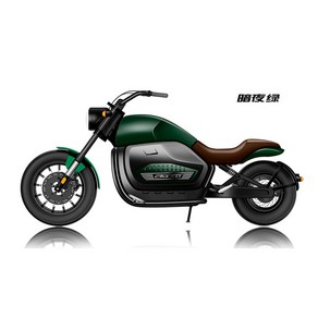 세발 전기 자전거 성인 삼륜 Citycoco-전기 스쿠터 2000w 3000w 60v 20ah/30ah 성인용 큰 바퀴 바이크 오토바이 배터리 디자인, [04] Amy Geen