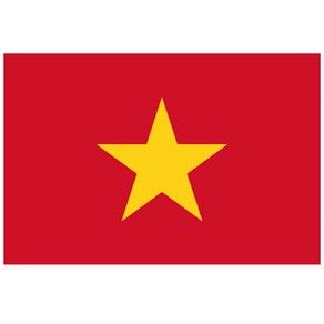 90x60 중형 베트남 국기 vietnam flag