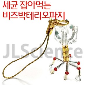 탐구실험 체험학습 - 박테리오파지(10인용) (KSIC-0254)