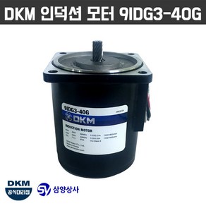 DKM 인덕션 모터 9IDG3-40G 삼상 220V