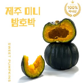 [프리미엄] 국내산 제주도 미니 밤 단호박 5kg (6-17과... 1개