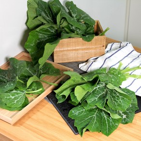 부드러운 경남 햇 호박잎 쌈 1단 380g 내외, 1단 (380g 내외), 1개