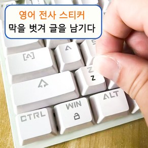 전사 스티커+영문 키보드 스티커+핀셋 증정, 1개, 블랙