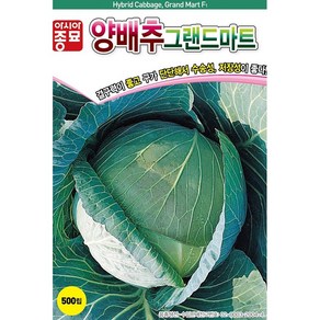 솔림텃밭몰 양배추씨앗 500립 그랜드마트 중조생 내병성 배추씨앗