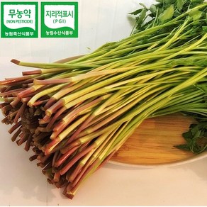 청도 특품 한재 미나리 1kg 무농약재배, 1개