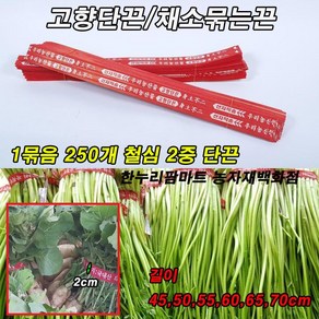 고향단끈 250개/미나리묶는끈/배추끈/열무끈/채소묶는끈/파끈 45cm(250개) 4개