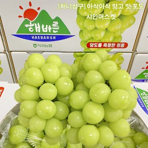 허니삼구 망고맛포도 고당도 당도보장 가정용 선물용 샤인머스켓 2KG내외, 2KG내외(2-4송이), 1박스