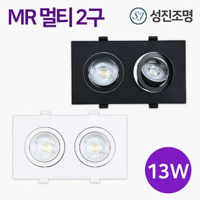 LED MR 멀티 2구 13W 다운라이트 매입등 매립등 화이트 / 블랙 MR 멀티 2구 판넬타입, MR멀티2구_13W_블랙(주광색), 1개