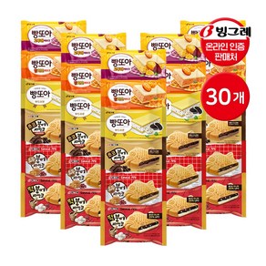 빙그레 붕어싸만코(떡5+초코5+호두5) + 빵또아(부드러운5+황치즈5+고구마5) 혼합 아이스크림, 1개